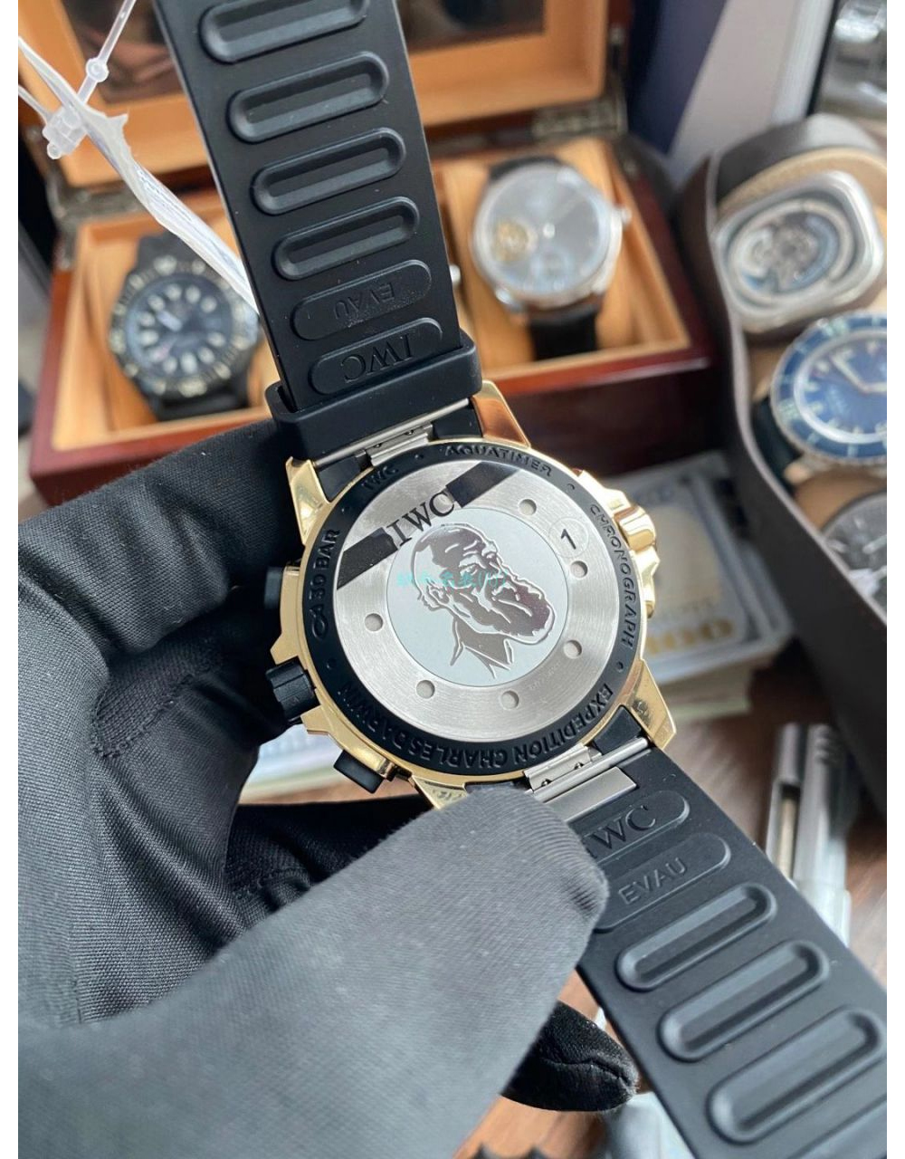 [V6공장] IWC 아쿠아타이머 크로노그래프 엑스페디션 찰스 다윈 에디션 [44mm]